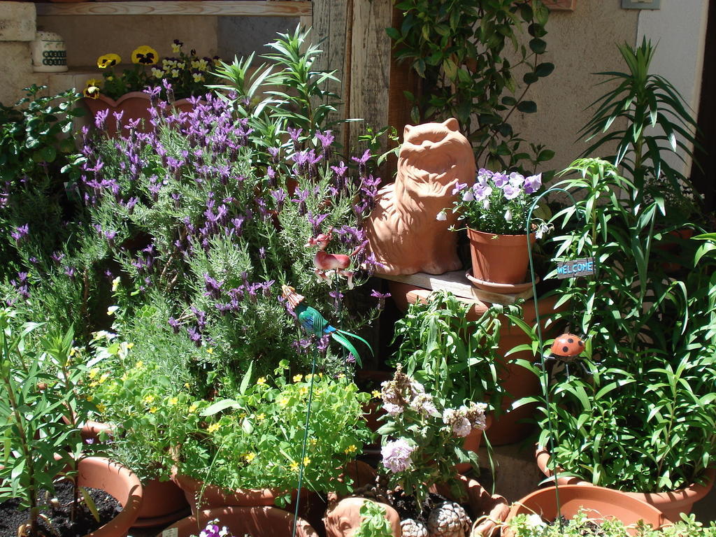 Bed and Breakfast Abruzzo Segreto Navelli Экстерьер фото